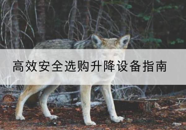 麻章升降货梯厂家推荐-*安全选购升降设备指南