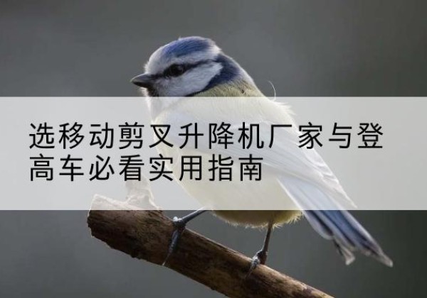 麻章电动升降机厂家-选移动剪叉升降机厂家与登高车必看实用指南