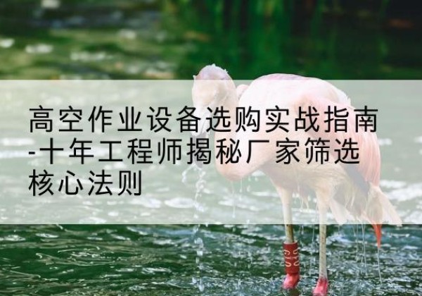 麻章剪叉式升降机厂家-高空作业设备选购实战指南-十年工程师揭秘厂家筛选核心法则