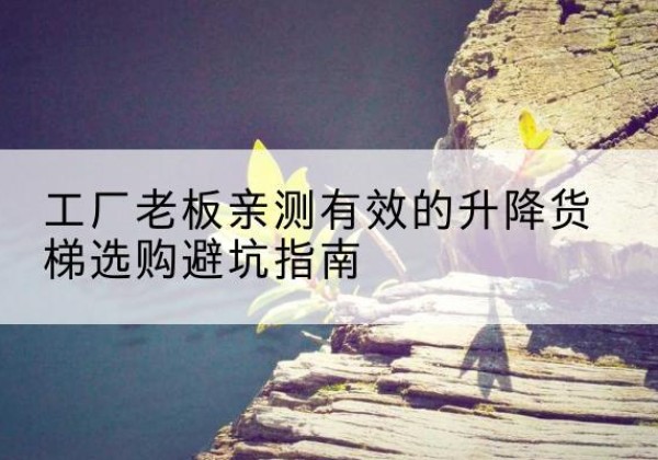 麻章升降货梯怎么选-工厂老板亲测有效的升降货梯选购避坑指南